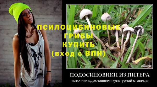 прущие крисы Медногорск