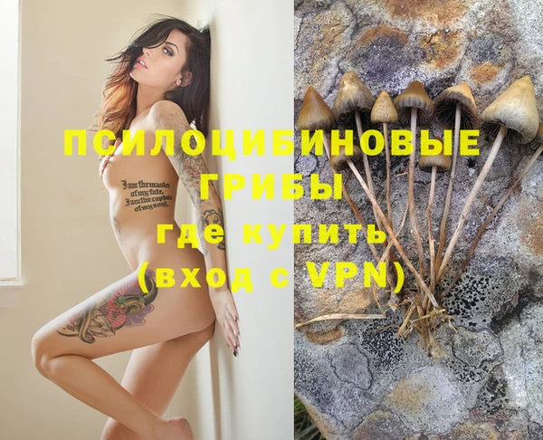 прущие крисы Медногорск