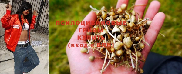 бутират Медвежьегорск