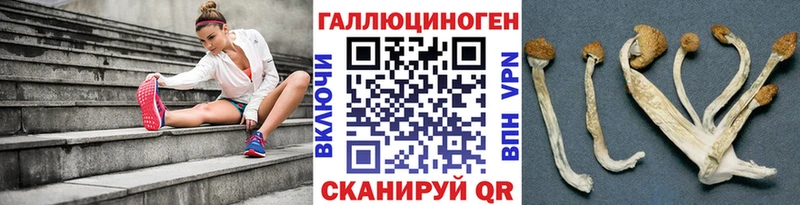 закладки  Белгород  blacksprut ТОР  Галлюциногенные грибы Magic Shrooms 