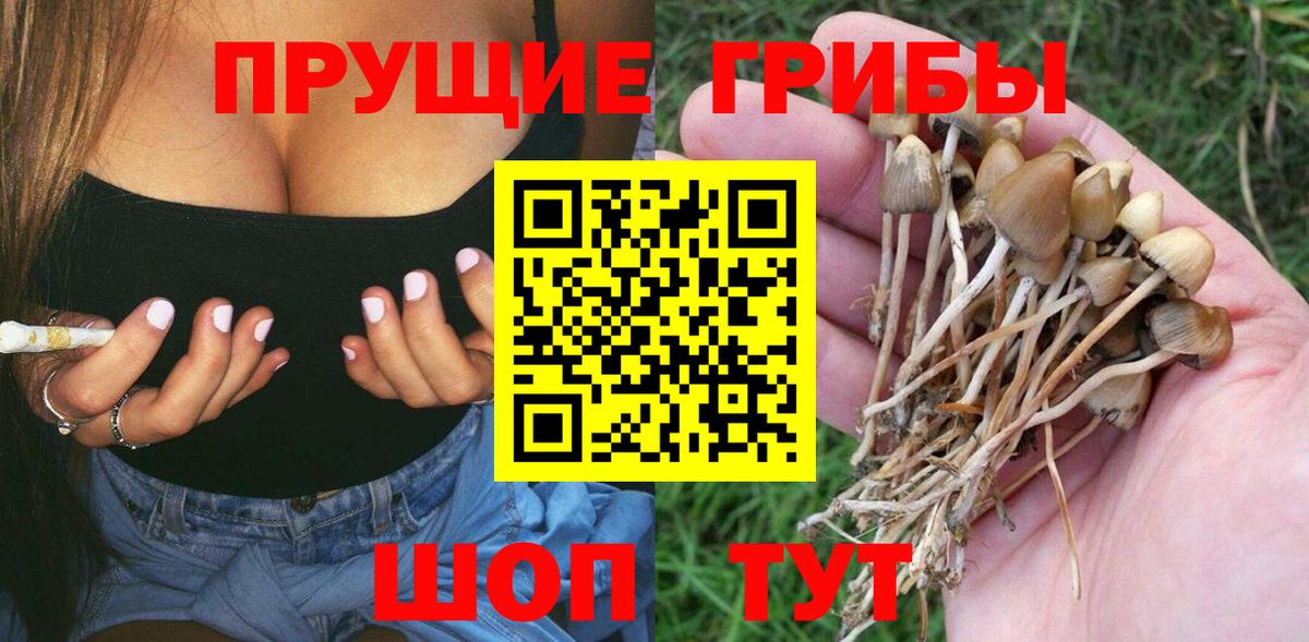 Белгород  где купить наркотик  Вход с VPN  Псилоцибиновые грибы Psilocybine cubensis 