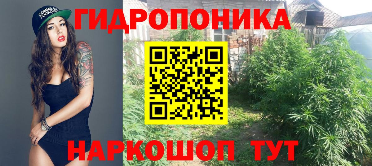 Каннабис сатива  Бошки Шишки LSD WEED  МАРИХУАНА SATIVA & INDICA  Вход с VPN  Белгород  Бошки Шишки индика 